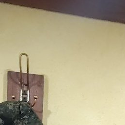 ���������, �������, 36 ���