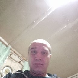 ����, 41 ���, ����