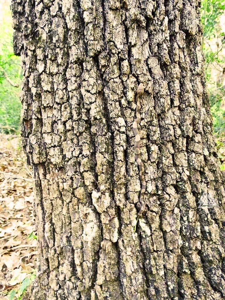 -     .   