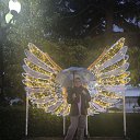 ���� �harming, ������ - ��������� 25 ������� 2025 � ������ ������ ��������