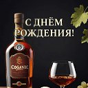 ���� �������, ����, 49 ��� - ��������� 2 �������� 2026 � ������ ���� ����������