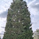 ���� C���� ��������, ������� - ��������� 30 ������ 2025 � ������ ���� ����������
