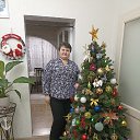 ���� �����, ������, 49 ��� - ��������� 8 ������� 2026 � ������ ���� ����������