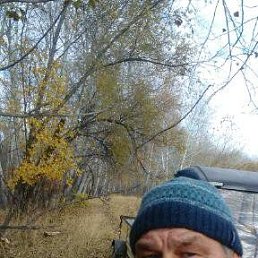 , 54, 