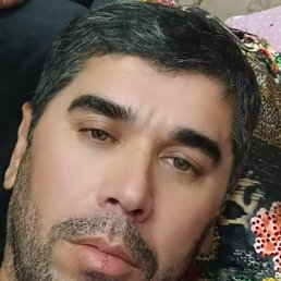 ����, 41 ���, ����