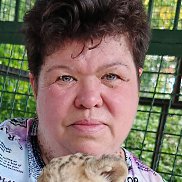 , 54 , -