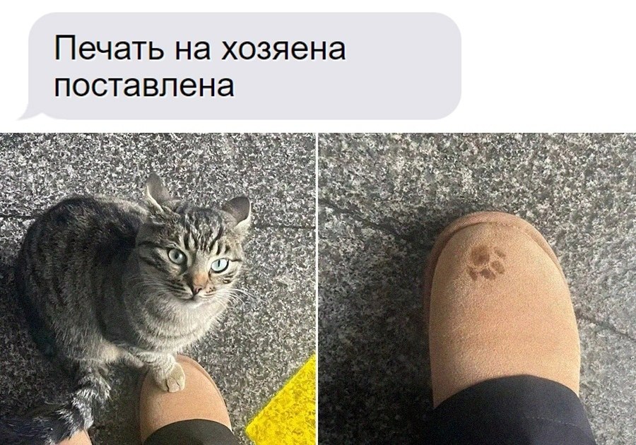    - 3  2025  12:25
