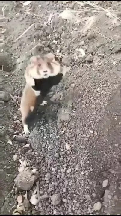 ��������� ����� ������� ���������� - 3