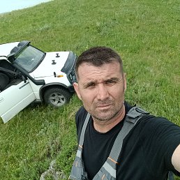 , 46, 