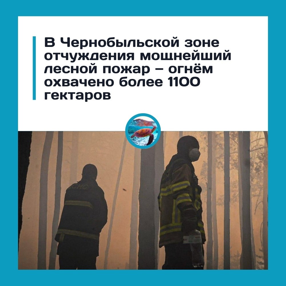 � ��������� �������� ������ ������ �����.� ������������� ���� �������� ������ ������ �����. ����� ...