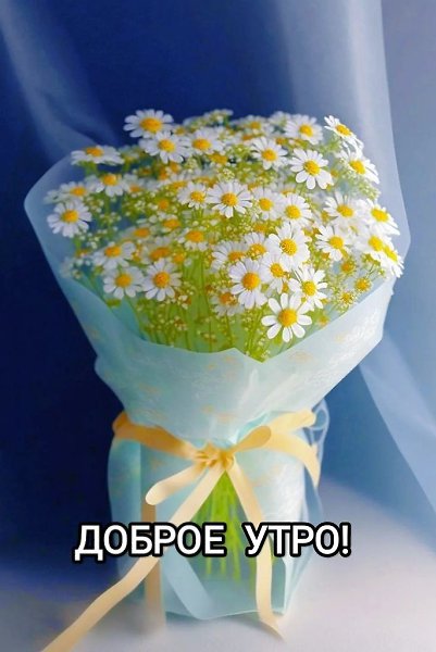   ,    . - 26  2024  23:59