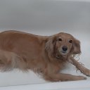 ���� �����, ������ - ��������� 13 ������� 2024 � ������ �������