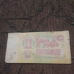 ���� �����, ������, 41 ��� - ��������� 8 ������� 2026