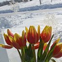 ���� ���������, ���������, 20 ��� - ��������� 17 ����� 2024 � ������ ���� ����������