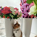  Zhanna***,   -  18  2025    