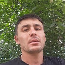 ������, ��������, 37 ���