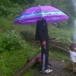 ������, �����������, 22 ����