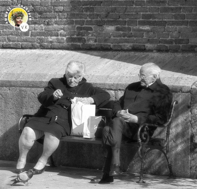   ?        .  ظ ,    ,  , ...