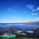 ���� Serg, ������-���, 50 ��� - ��������� 4 ������ 2024 � ������ ���� ����������