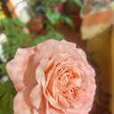 ���� �����, ���� - ��������� 10 ������� 2025