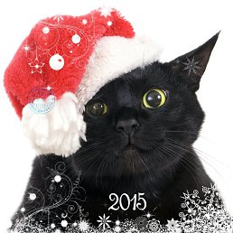 �����, �����-���������, 51 ���