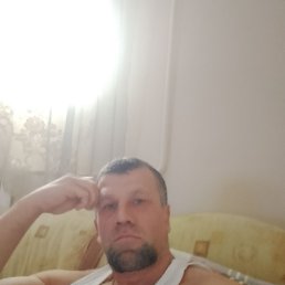 �����, 44 ����, ����������