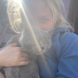 ��, �����������, 38 ���