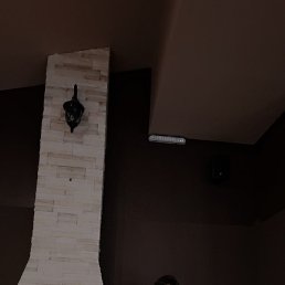 ������, ���������, 22 ����