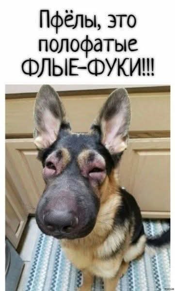 :)     ,     .       ...