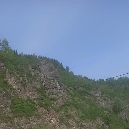 ������, ��������, 37 ���