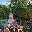 ���� ������, ������������, 64 ���� - ��������� 24 ������ 2026 � ������ ���� ����������