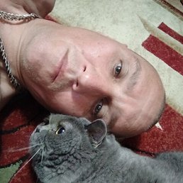 , 54, 