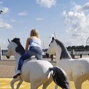 ���� �����, ������������, 42 ���� - ��������� 22 ������ 2026