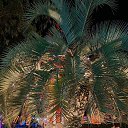 ���� ���������, ��������, 47 ��� - ��������� 15 ������ 2025 � ������ ���� ����������