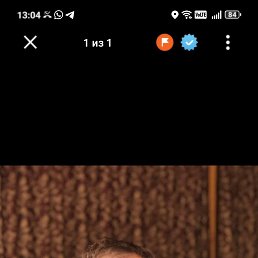 , 38, 