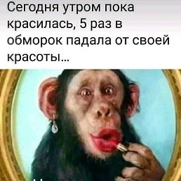 �������, �����, 71 ���