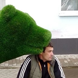 ,  , 56 