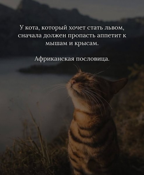   -  - 3