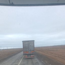 Can, ������, 43 ����