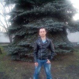 , 33, 