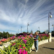 �����, 44 ����, �������