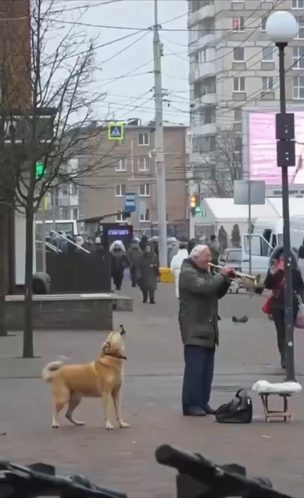 ea oa o: c  apaa pe oe o a     oc ...