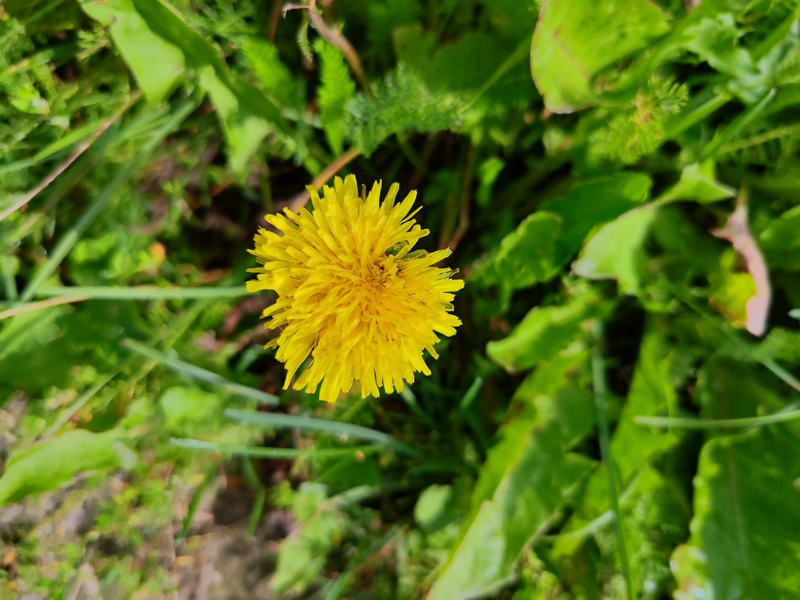   - 12  2025  16:15 - 8