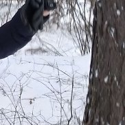 ����, 48 ���, ������