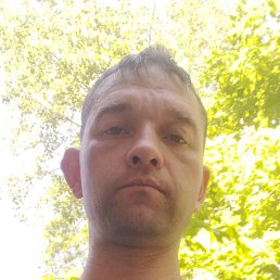 , 37, 