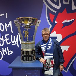 , 53 , 