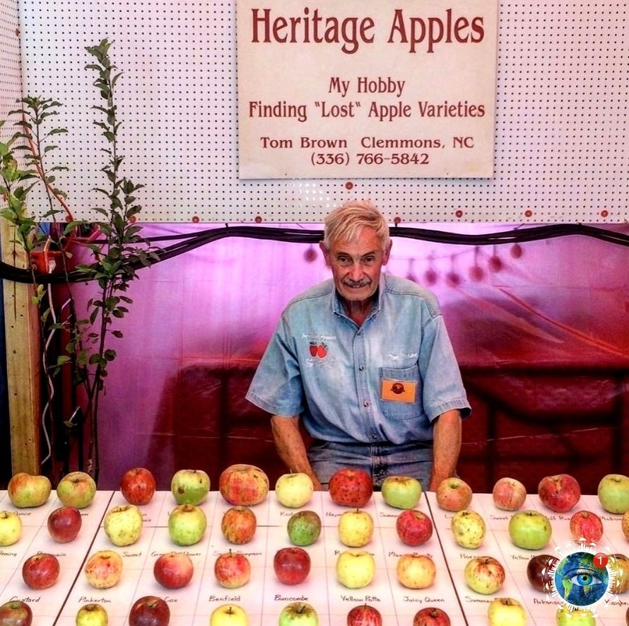 �a��e ���� �o��� c�ac�� ��a�e��! - 3