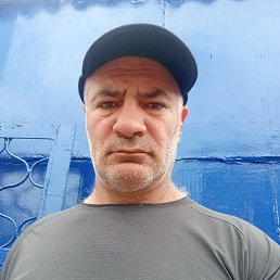 , 44, 