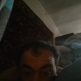 , , 41 
