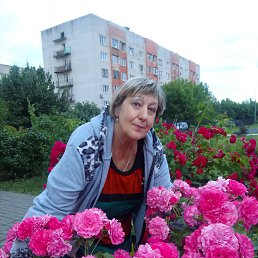 , 58,  